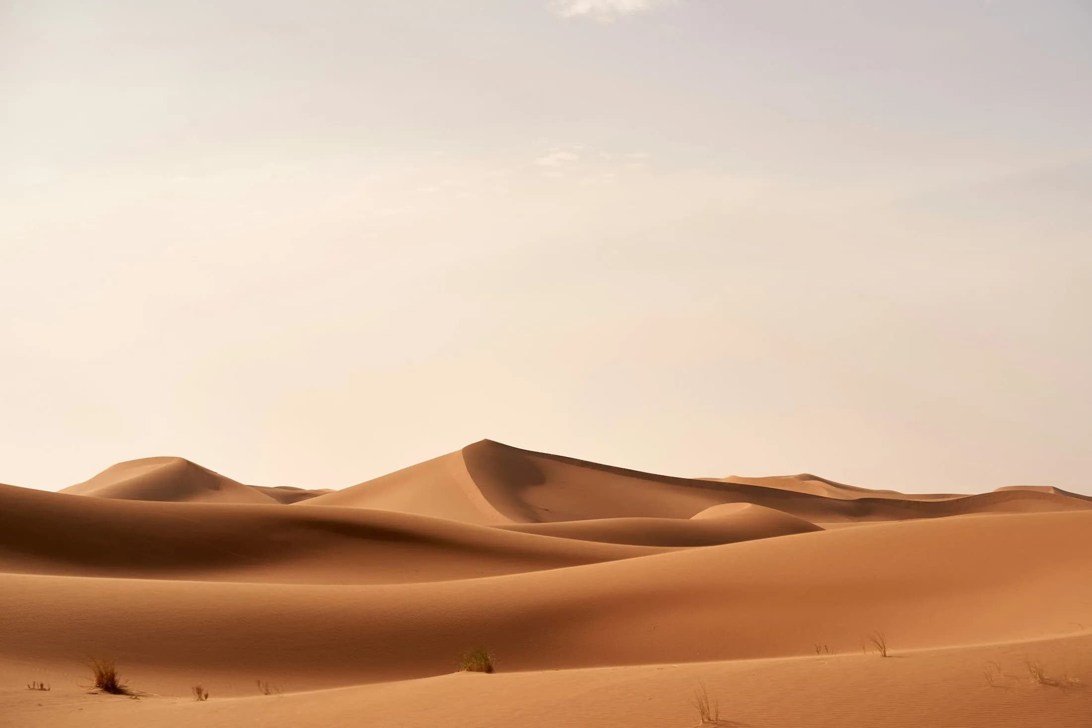 Wind-shaped dunes beneath an open sky