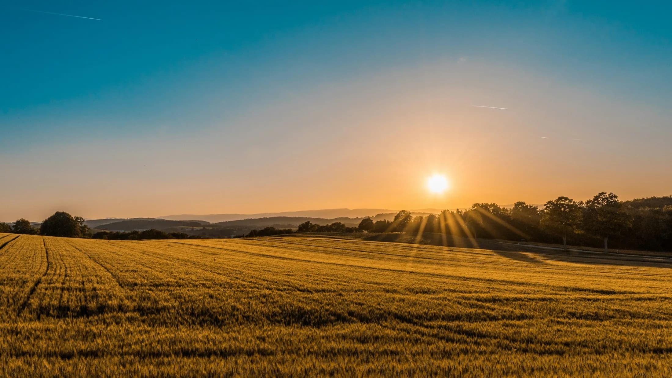 Sunlight moving across a quiet field